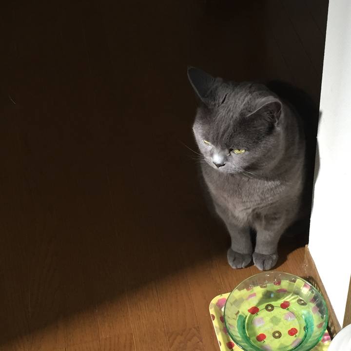 94e36dab d382 4a7a 965c f5e9301837d2