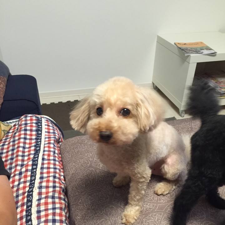 94e3e6f3 990b 41d0 a73b dd696164fc1f