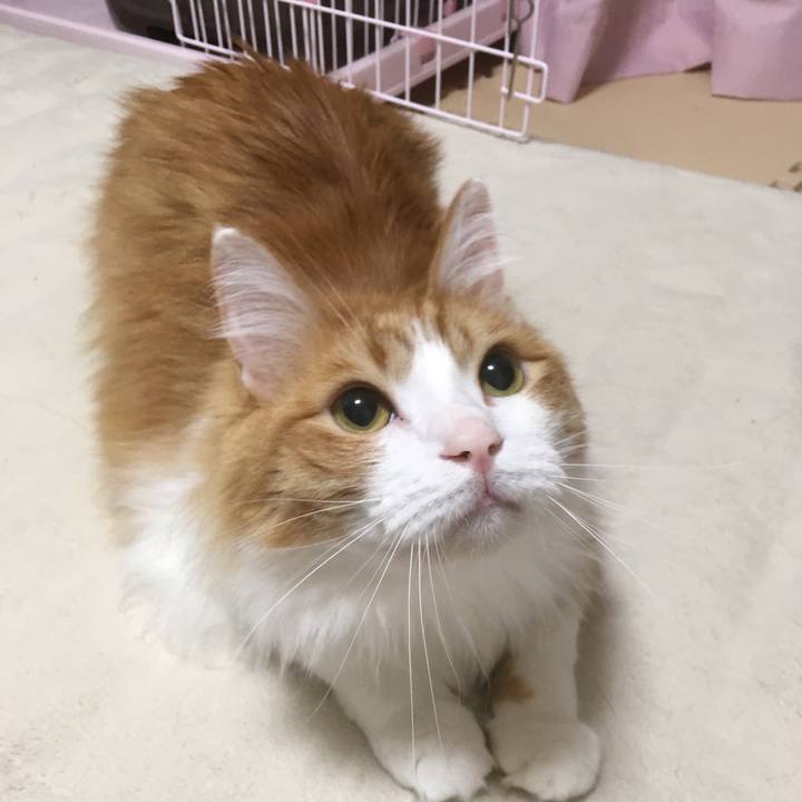 94e50fda 90a6 47c8 86b5 7df93ac57117