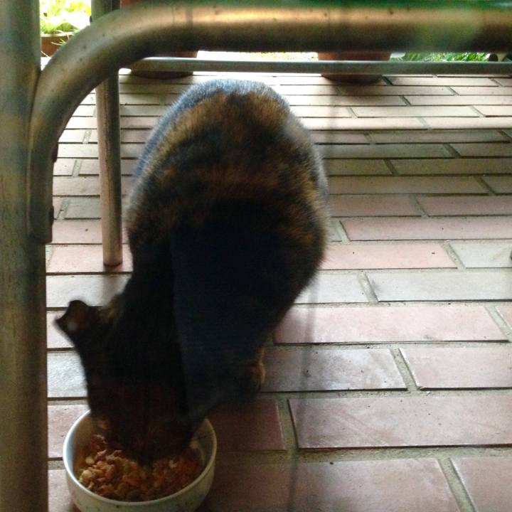 94e5207b 0c93 4f8f a728 ed8579c1766c