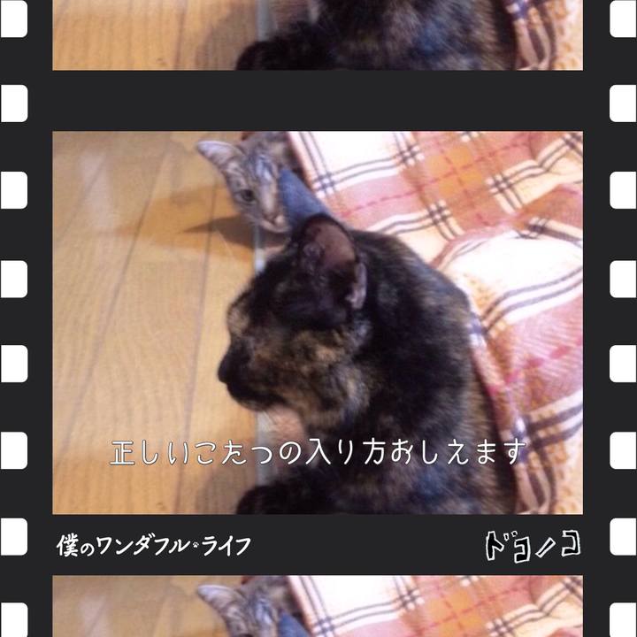 94e60e91 0063 48d7 96e6 77a7d2e42a50