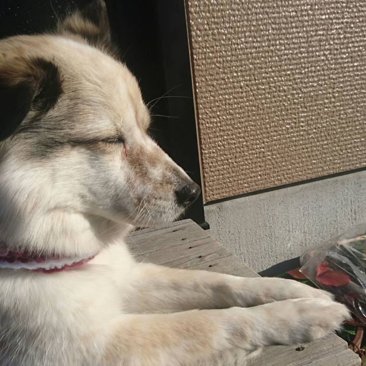 94e6724e b5cb 4dbc 8985 7f4bab887fef