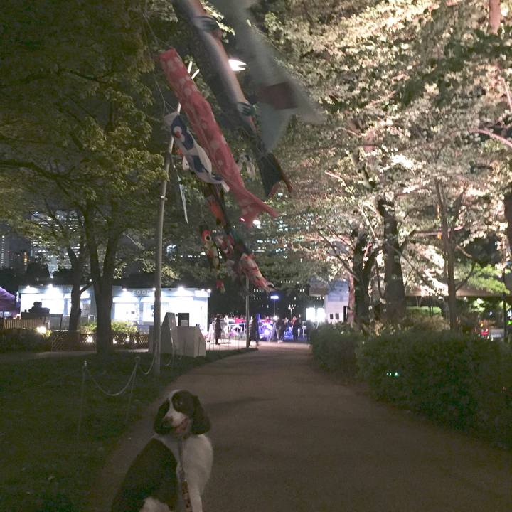 94e70646 9031 44c4 a802 73c47e0dbae5