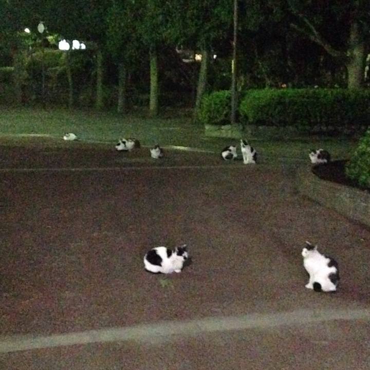 94e7c40e 9a50 49e5 8023 8df577c84e0a