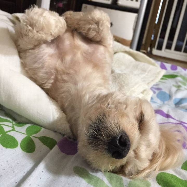 94e827de e27e 4e24 babc d8181bda6ea8