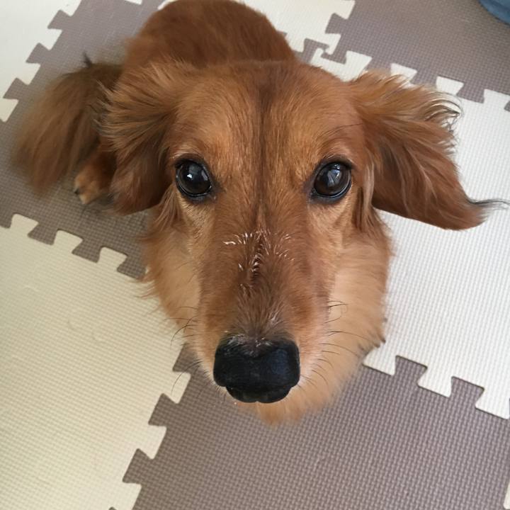 94e868e5 0d72 4e65 a235 c13a27061afb