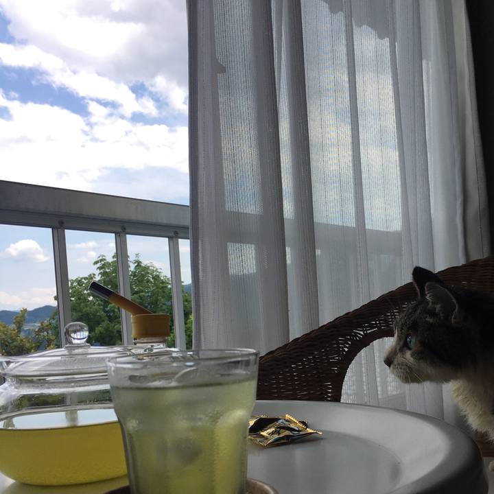 94e869e5 e294 4f69 b7ce 347317428141