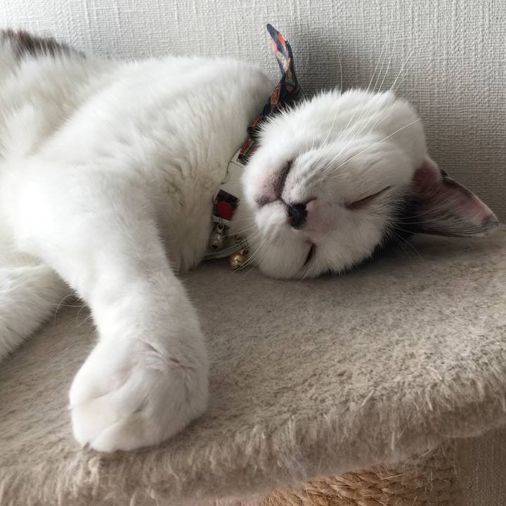 94e875da 97a1 4ac8 b415 ebb9fbd7a2c2