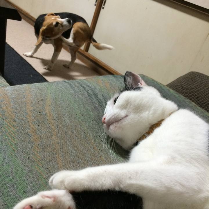 94e88e46 fc1b 47b6 98c0 af89e3598da9