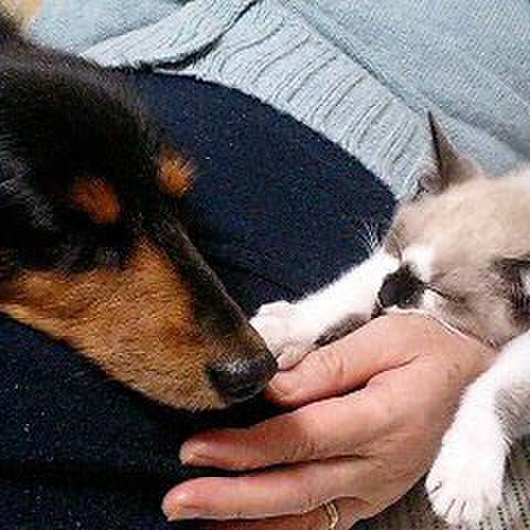 94e8ba6c fe37 4087 b45f 7a95a24bf508