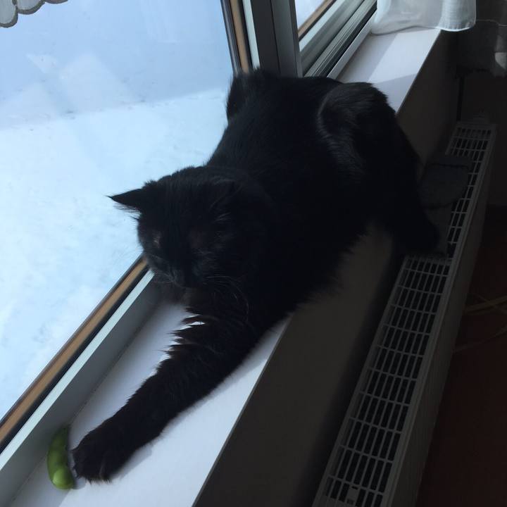 94e925d6 885b 4b79 a088 e70a31d94242