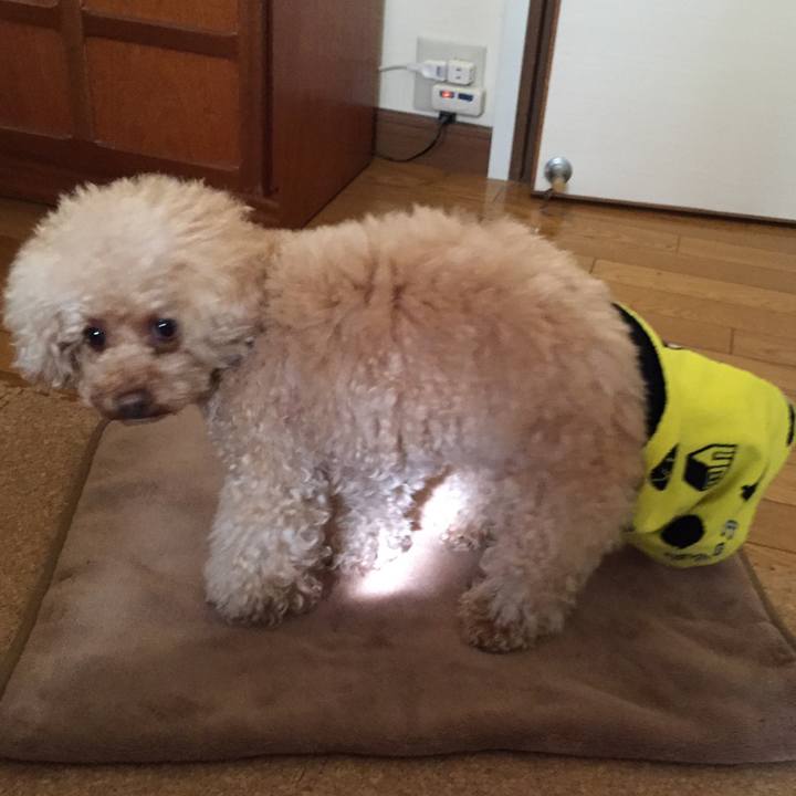 94e95de3 6ee7 464f a558 79918b0b6c7f