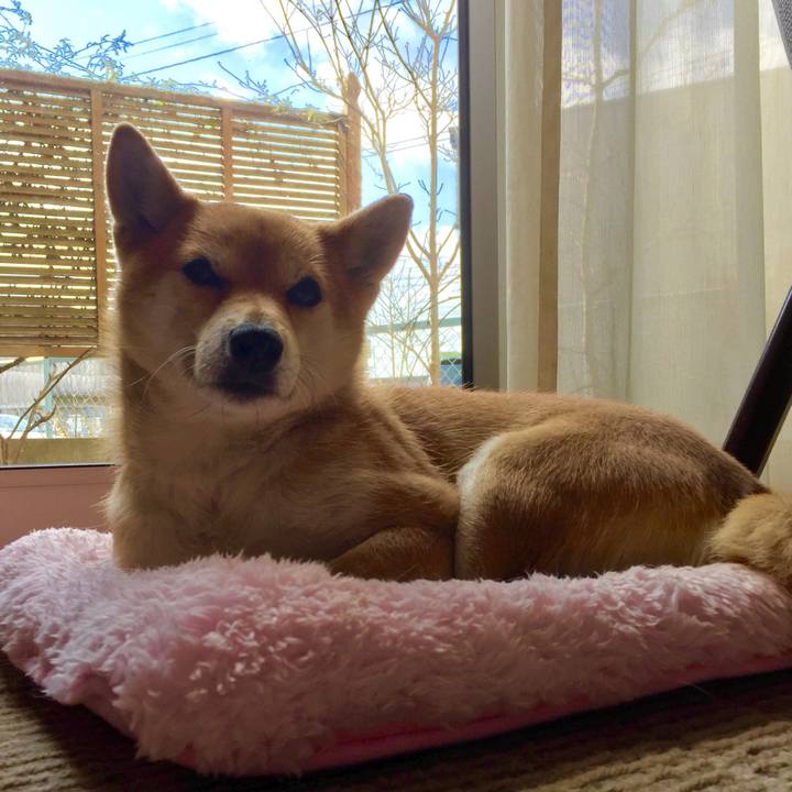 94ea2e12 62f4 419a ab08 2582e13a8aee