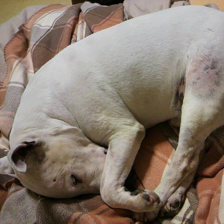 94ea32fc caa9 4777 a8b9 329e89c97070