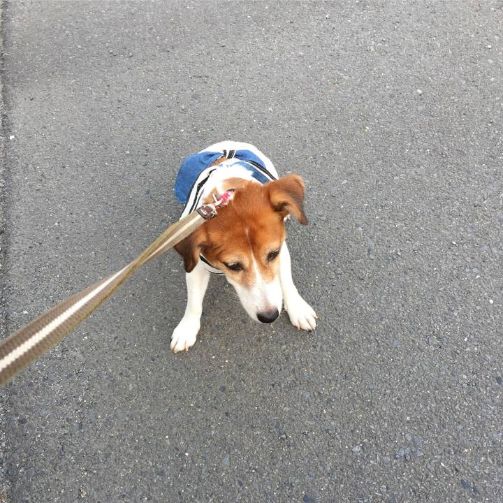 94eacd8e 2652 4ff2 8ba2 64a4bdcfcc35