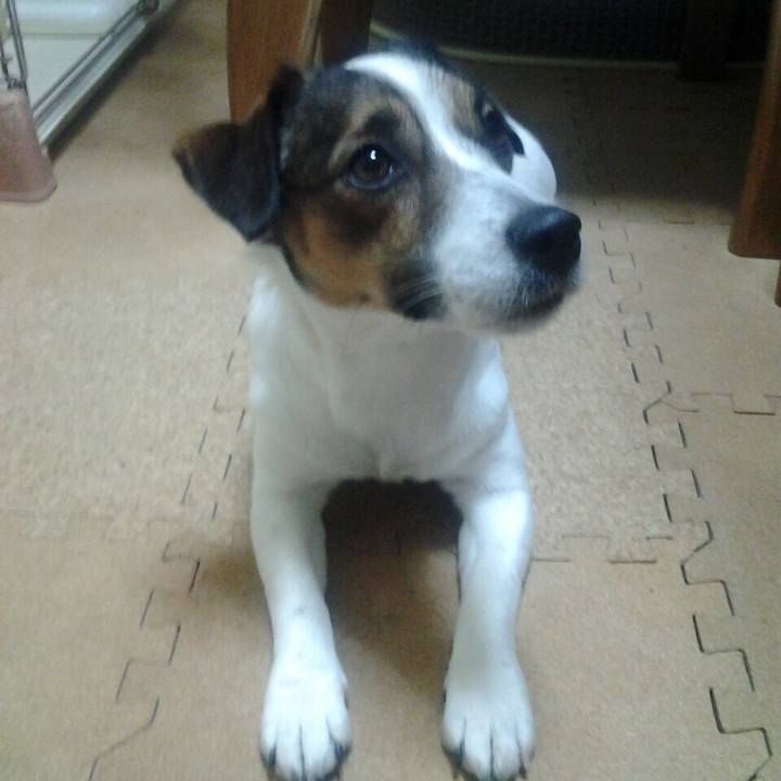 94eaea6e bd5e 4e18 91d5 b4872f27cc88