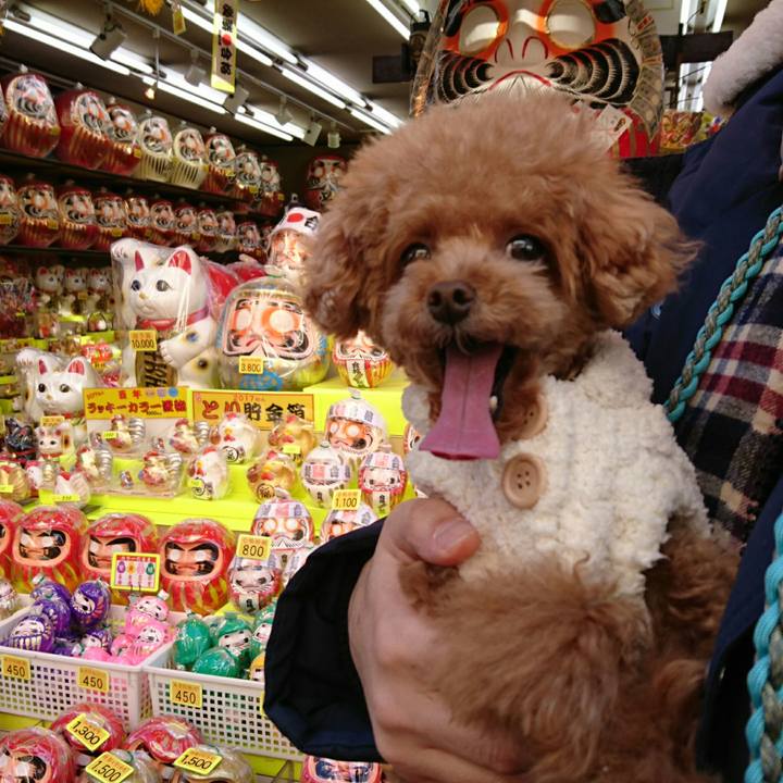 94eb8d5e fd3e 4371 850a 1d529476036d