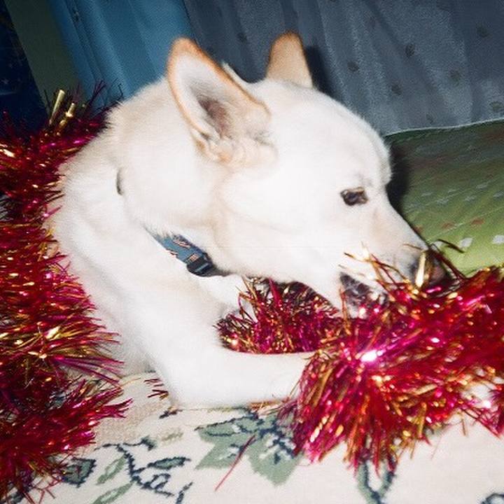 94ebe6e1 bb2a 41b6 8e09 09384bc08eb1