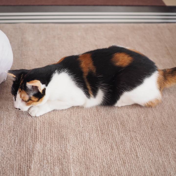 94ec6833 cefb 49da 9763 bceba1f77a52