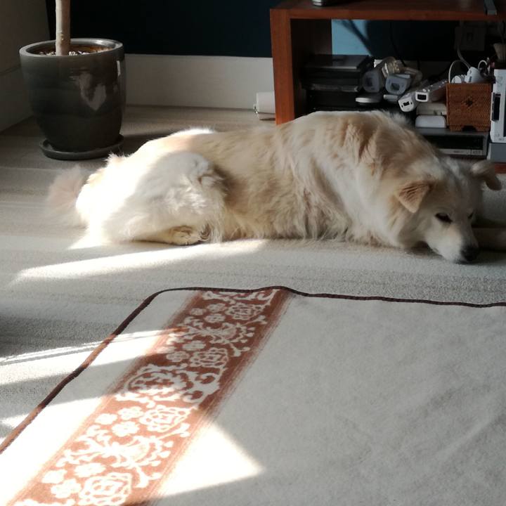 94eca05a 91bf 4a11 a287 669b6a8bc047