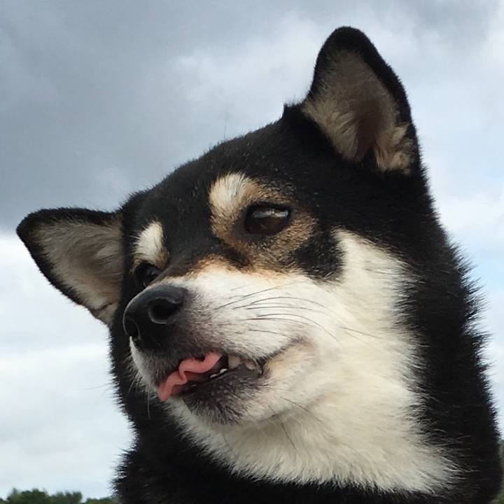 94ecc2f7 1cb2 4f6b b621 5d3116c5474c