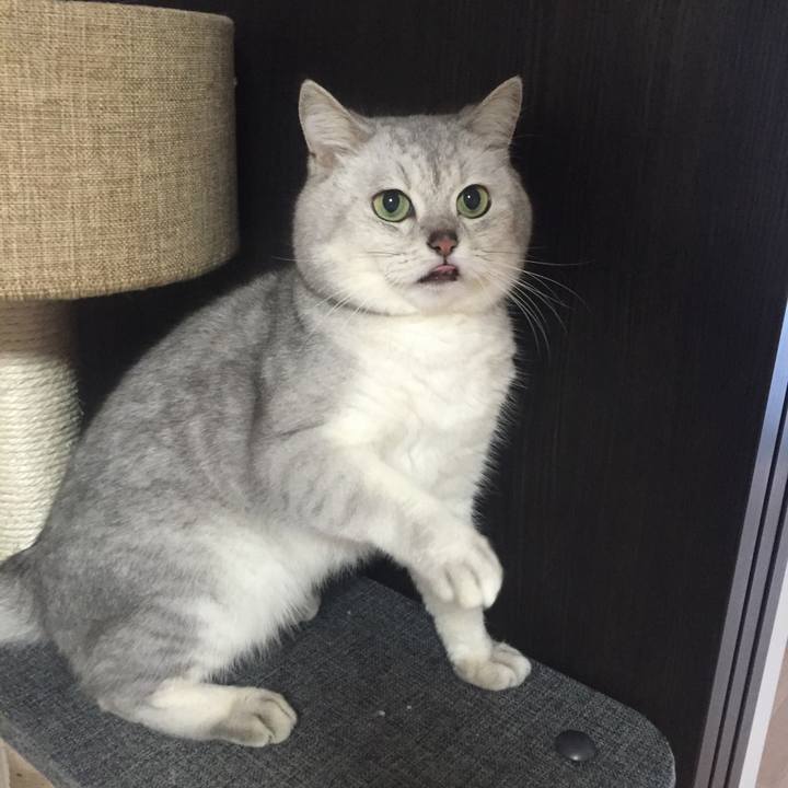 94edc36b aa58 427b 936f 6b9ddd2a1a79