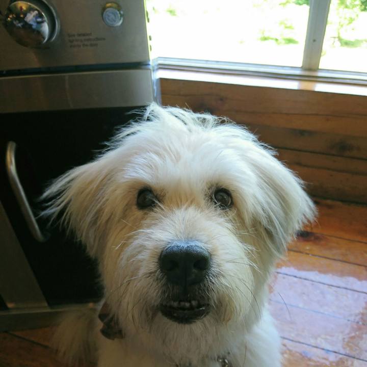 94ee1555 7275 4eee b5af 354887de87d3