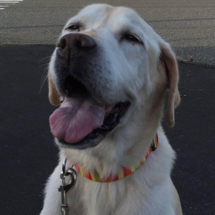 94ee3b13 bdc4 474d 9531 f7087bc8d425