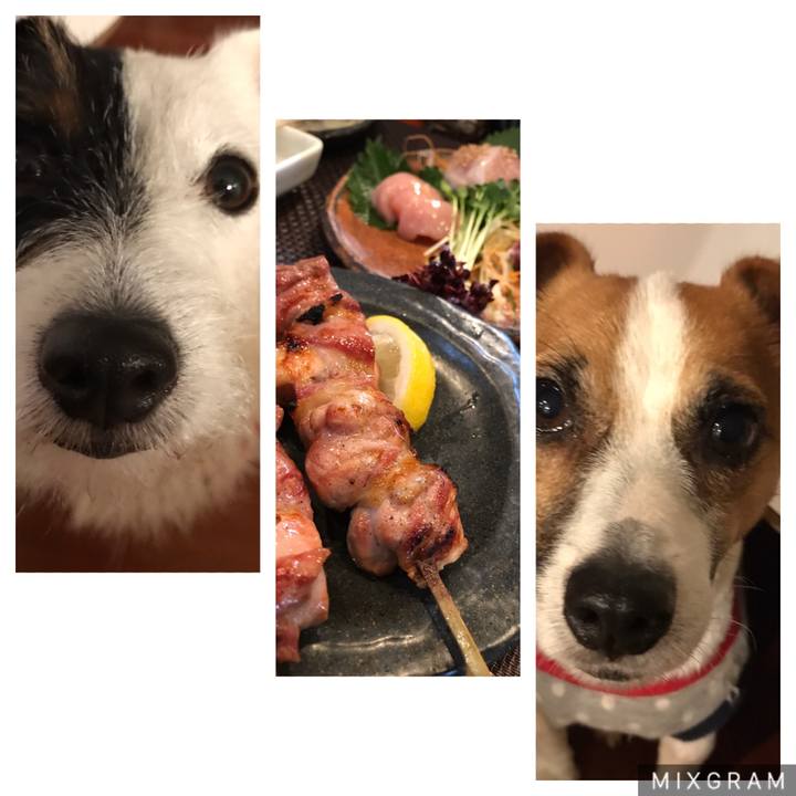 94ee879b aafd 44b1 9755 8d4e3a4ab060