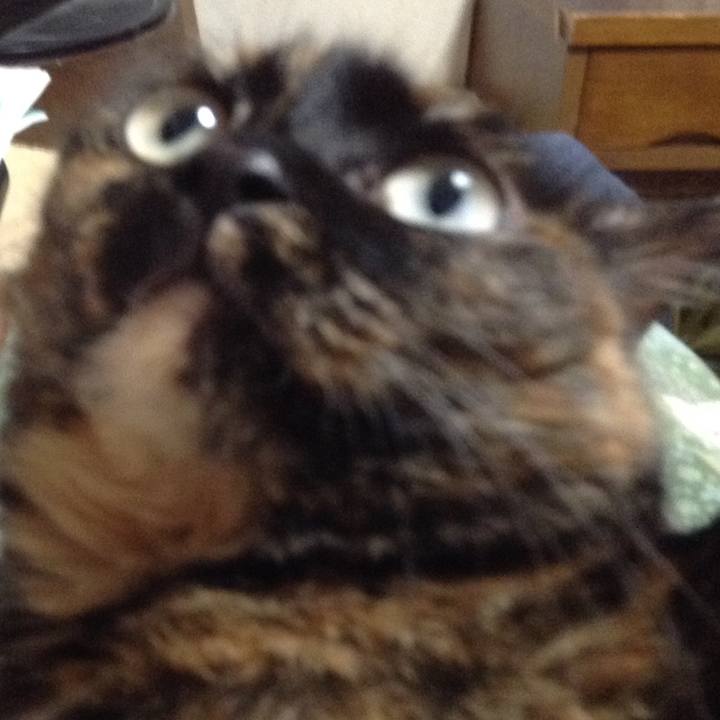 94eeb787 1d0f 41ba b7c4 6ee9dd4920d3