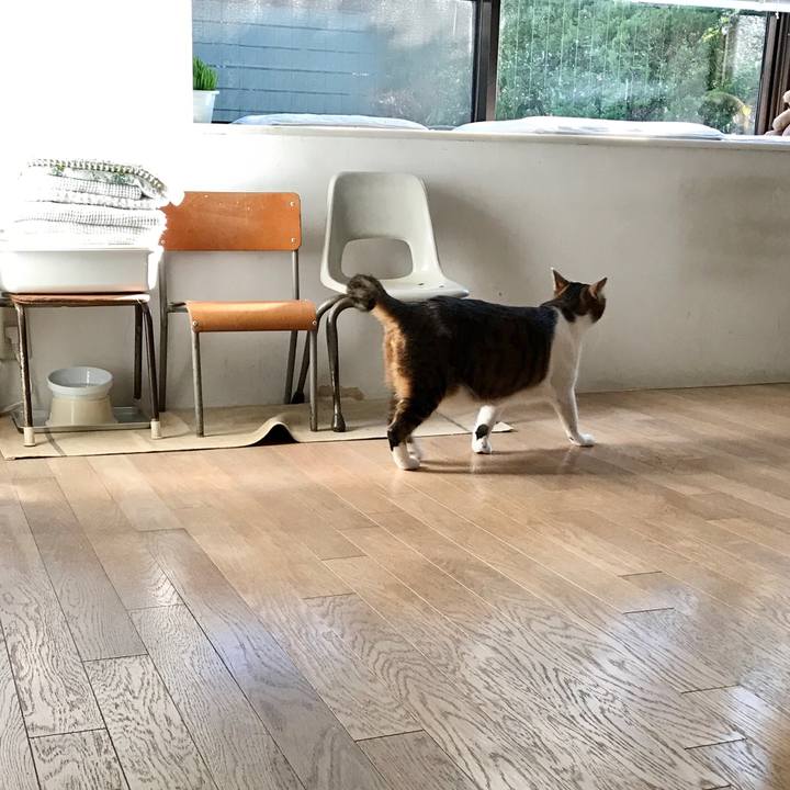 94eec285 1221 496d 8852 58049422216d