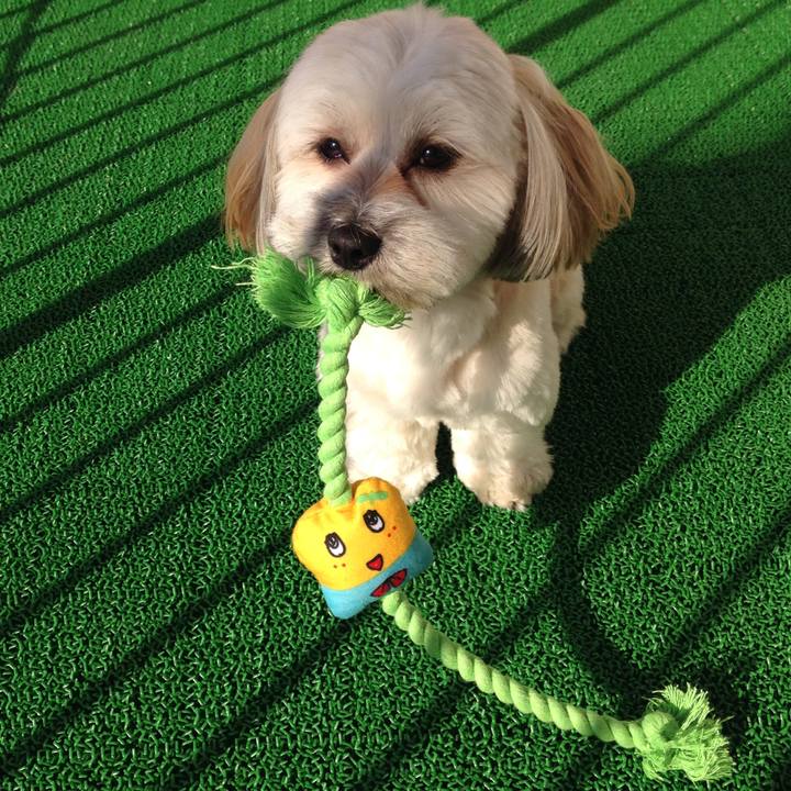 94efbcbf 2006 4f31 94d5 934a3cc927c1