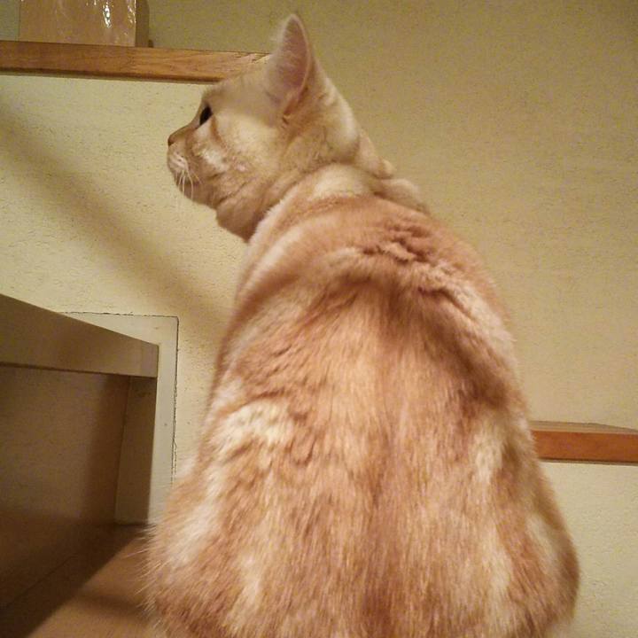 94f07dd2 fd59 4ba6 8969 af3e92bc0c47