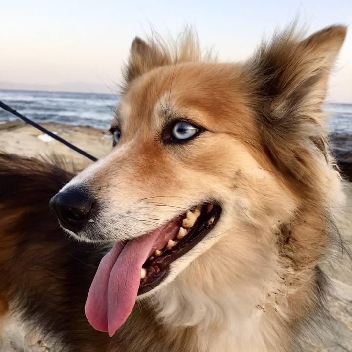 94f0ec36 3f1a 4845 93e5 b3d3fa065ed8