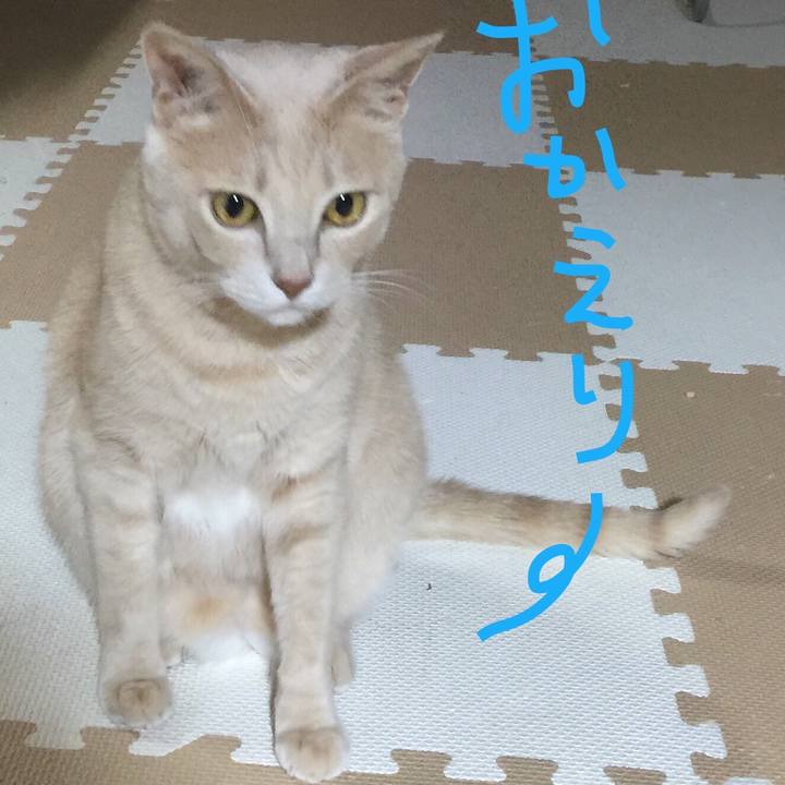 94f1138e a799 44e7 a916 fd9a63ec6c66