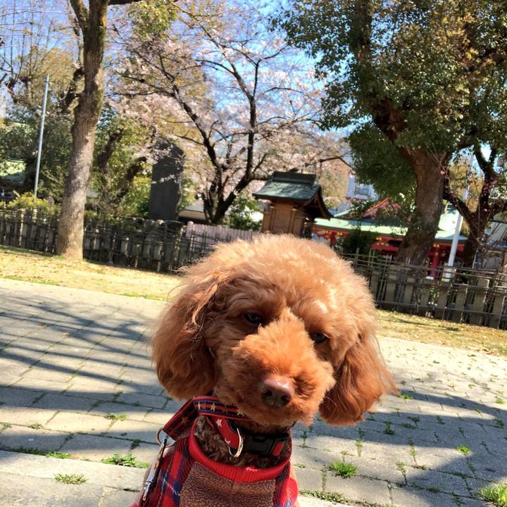 94f15565 2d9f 414e a6e9 e02991dbe3d4