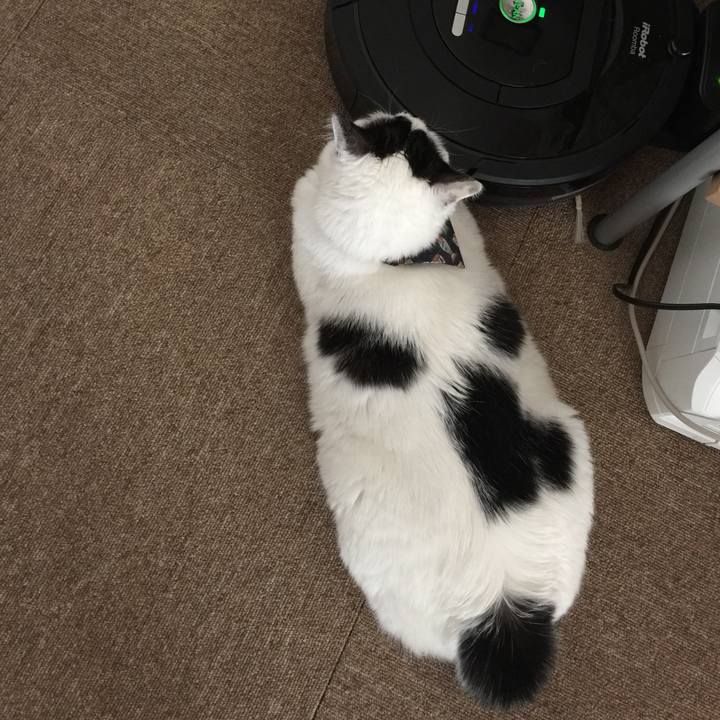 94f16405 35c8 461b b41f 21c80bcd505f