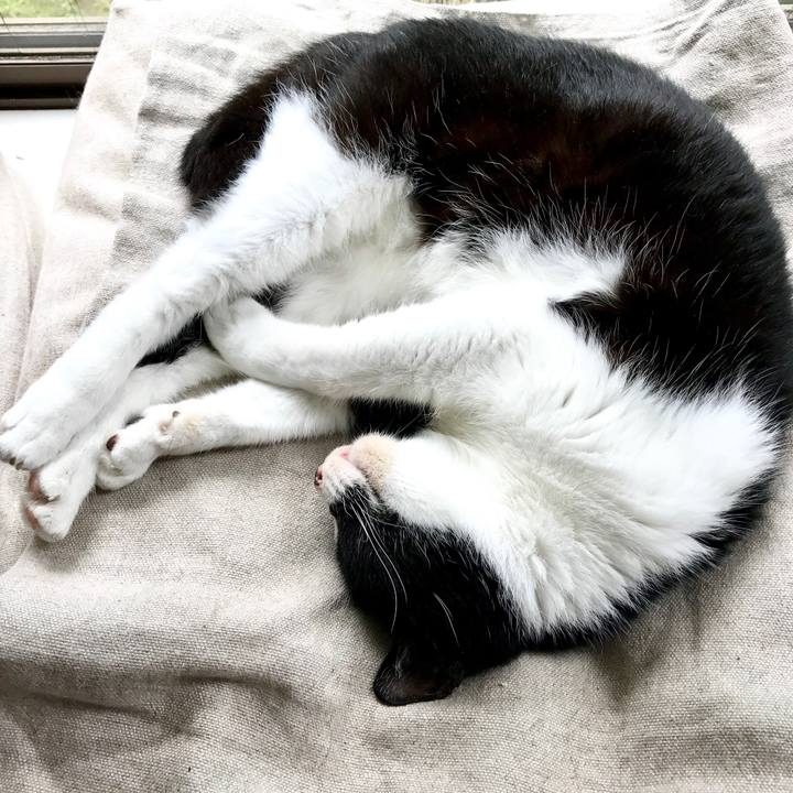 94f1b0db b584 431f a6c4 6b844a29aa21