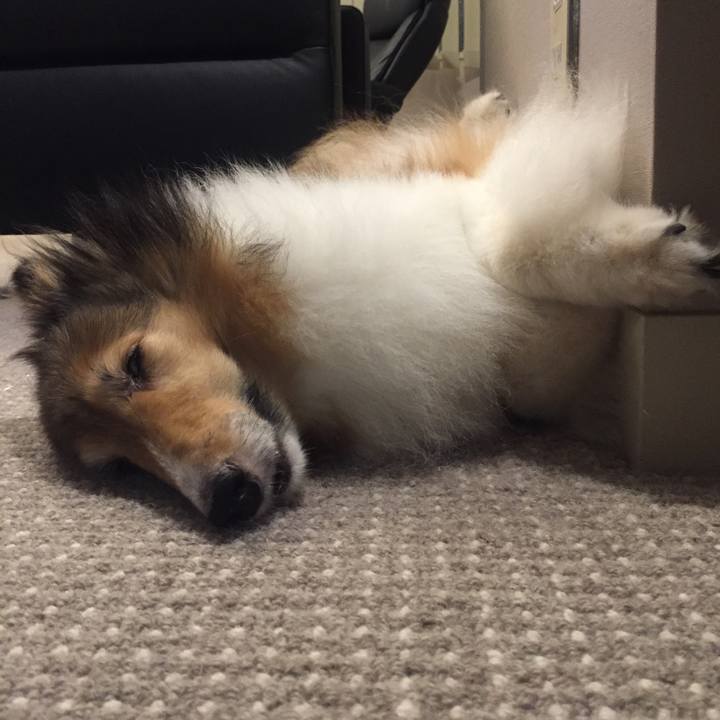 94f1c685 2914 4e99 a02c d57f3293aa19