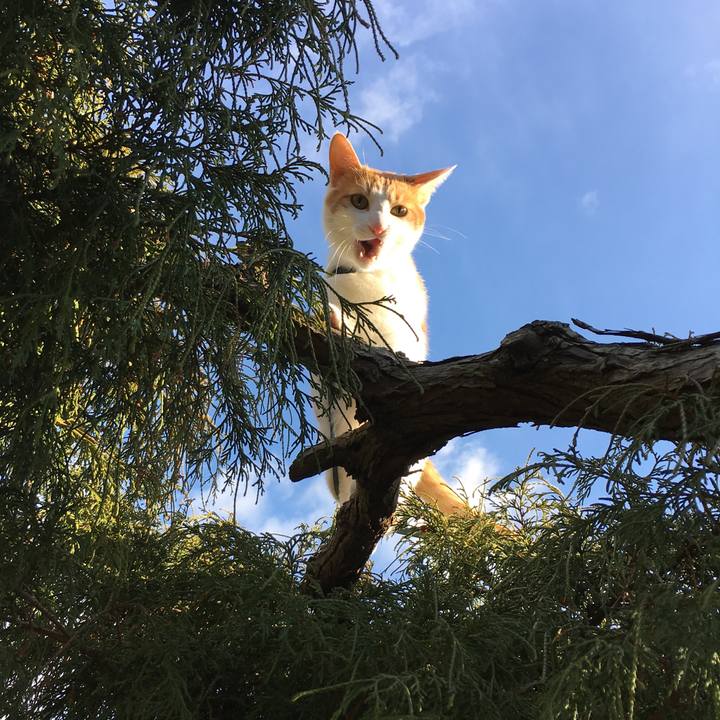 94f1f56f 2681 4e08 80bf 7dcf9c3e5e30