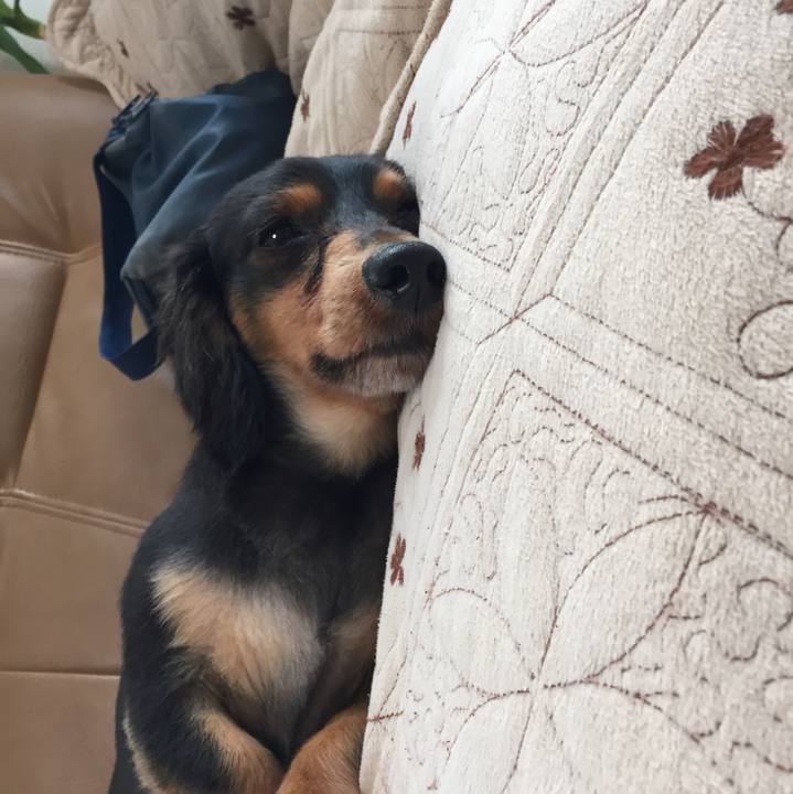 94f231ad 0310 40ff 9f05 8e05cda9bf63