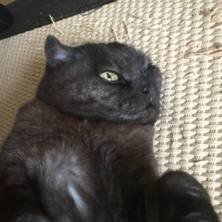 94f246f3 c336 45ea b441 882e533f152d