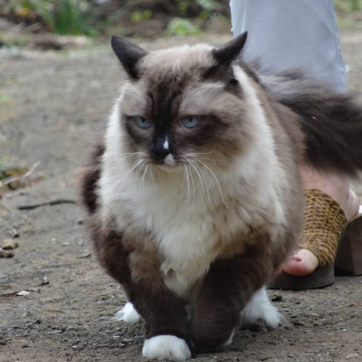 94f2ab28 8535 4376 a166 ac5559a60ea1