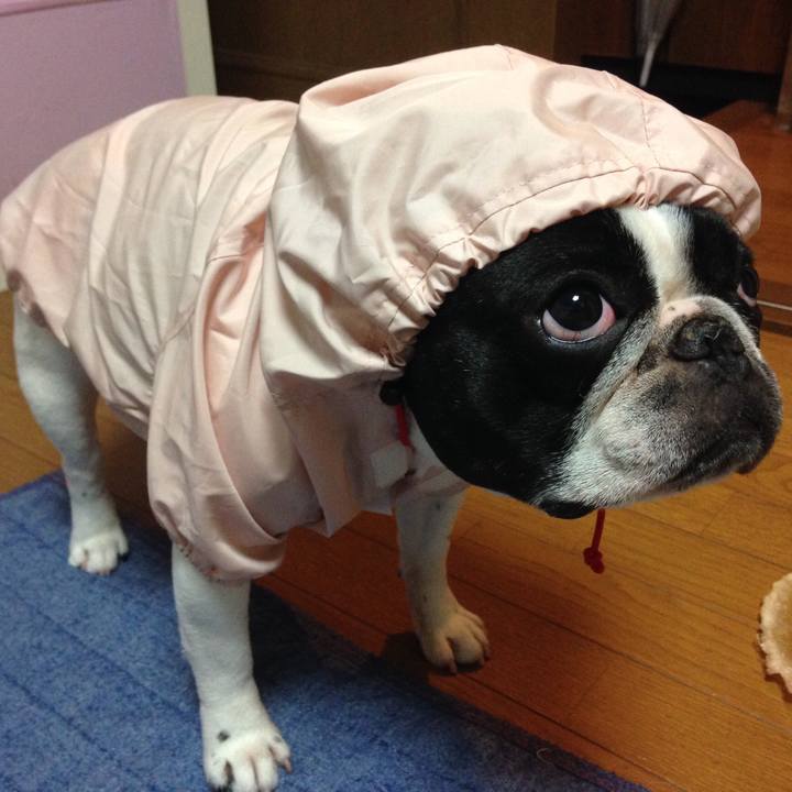 94f2c6b8 b8cc 411e b85a 88ea19ee89b5