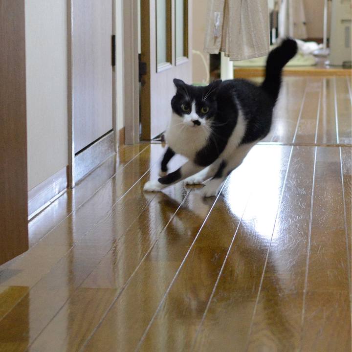 94f39564 7e2c 4f2f a1f1 4226241ded41