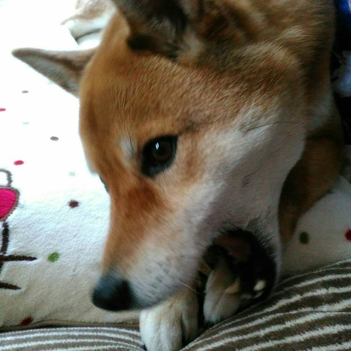 94f3c15b d743 4794 bb80 8a895e2960f8