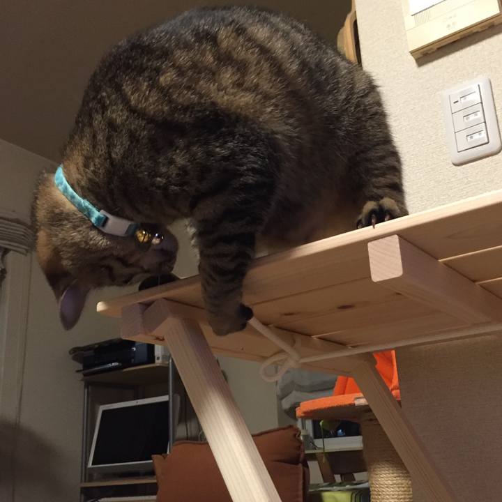 94f3cae0 5a22 4784 be99 8912f2b2668b