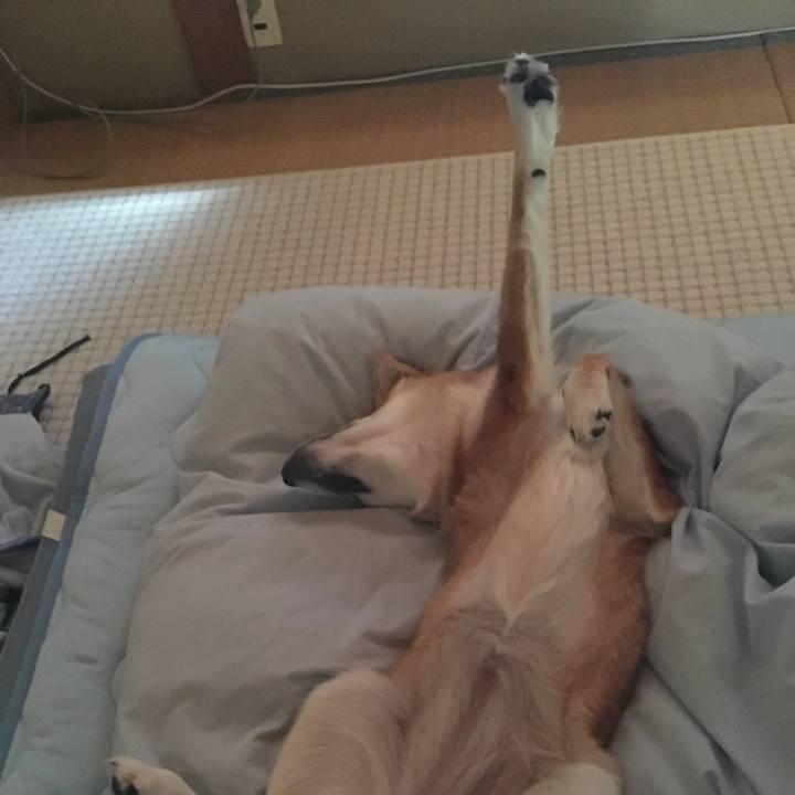 94f40af9 059d 4a7a b4cc f4bfd1173347