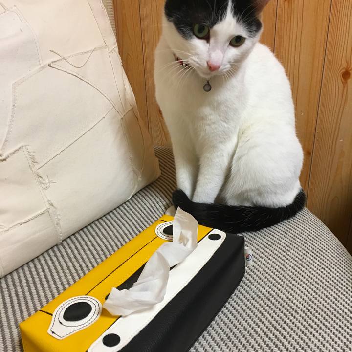 94f4784c d7ca 4b02 a33e cf5d6976da50