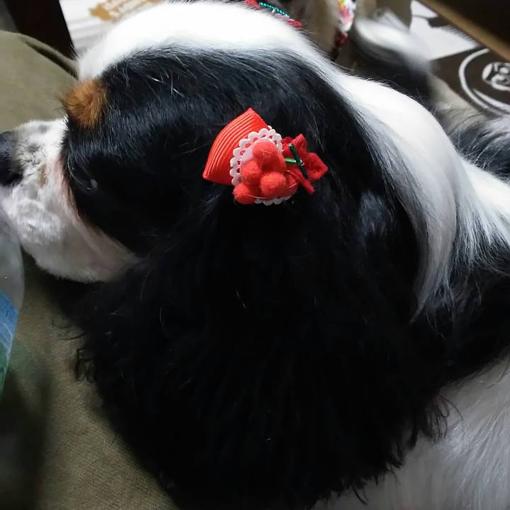 94f54626 fc03 4ce4 87b7 1e3ba179a9fa